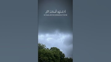 #quran #راحة_نفسية #تلاوة_خاشعة #ياسر_الدوسري #سورة الحشر