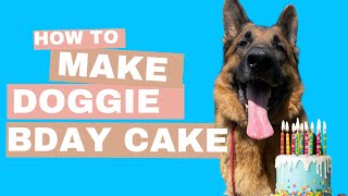 How I Celebrate My Dog's Birthday I DIY Dog Birthday Cake by Meet the Chows 161 views 8 months ago 1 minute, 35 seconds