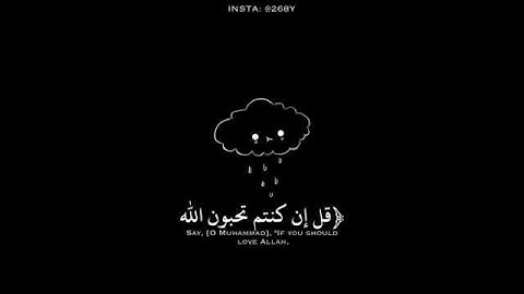 تلاوة هادئة...15 ثانية