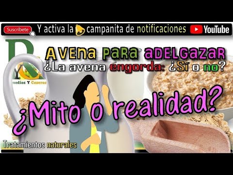 🍚 Avena para adelgazar ¿La avena engorda, si o no? ¿Desayunar avena engorda? remedios caseros para el colesterol