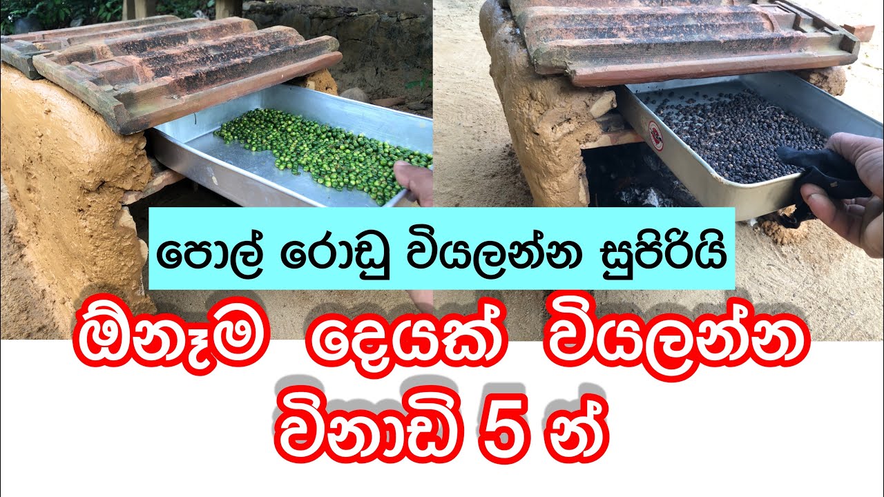 පොල් රොඩු | කුලු බඩු | ඔීනම දෙයක් විනාඩි 5 න් වියලන්න | thuru tv