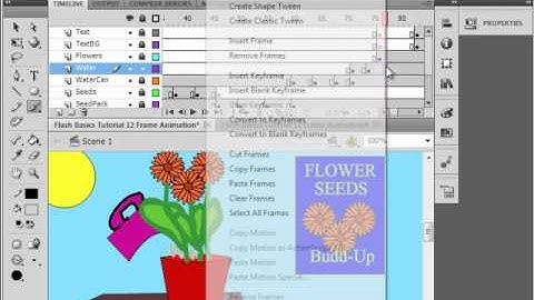 Flash Basics Tutorial 12 Frame Animation.avi