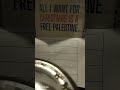 Free Palestine blues rural blues acoustic blues guitar slide Mississippi blues post-atomic blues
