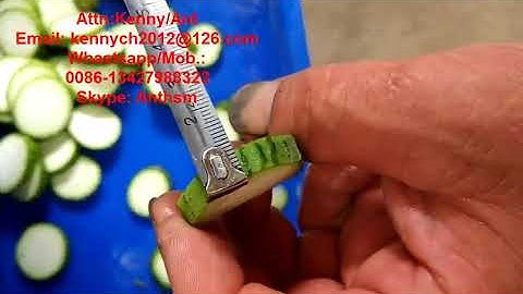 CH-20 okra cutting slicing machine, celery cutter slicer