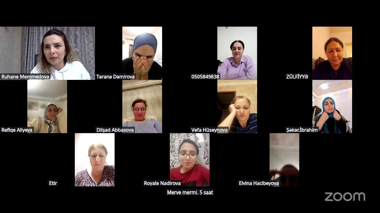 Ruhane Memmedova Zoom Toplantısı