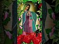 Alabanzas a la Virgen de Guadalupe#shorts#guadalupe#18