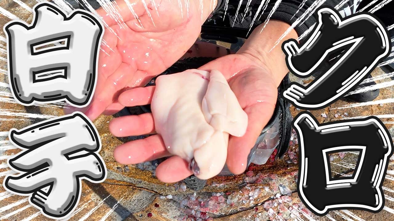 釣り場で現地飯‼️釣れた魚を生きたまま捌いて超絶絶品料理