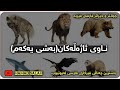 فێربونی ناوی ئاژەڵەکان بەفارسی اسامی حیوانات بە کردی 