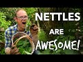 Here's Why You Should Grow Nettles