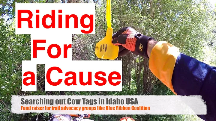 Talking Ruts, Traction, and Cow Tags in Idaho - Episode 211