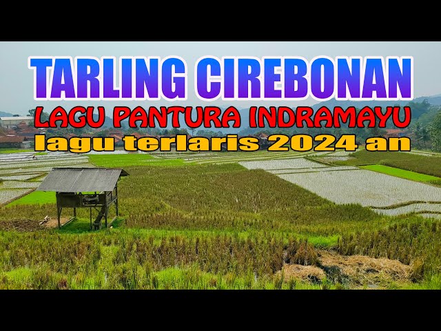 TARLING CIREBONAN INDRAMAYU LAGU PANTURA TERLARIS 2024 ENAK DIDENGAR class=