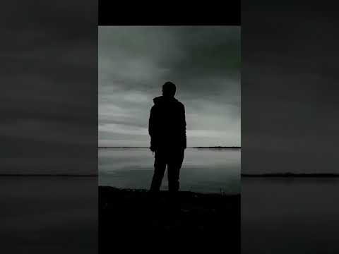 شخص وحيد حالات