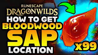 How to Get BLOODWOOD SAP - Secret Bloodblight Cape Location - RuneScape Dragonwilds 1.0