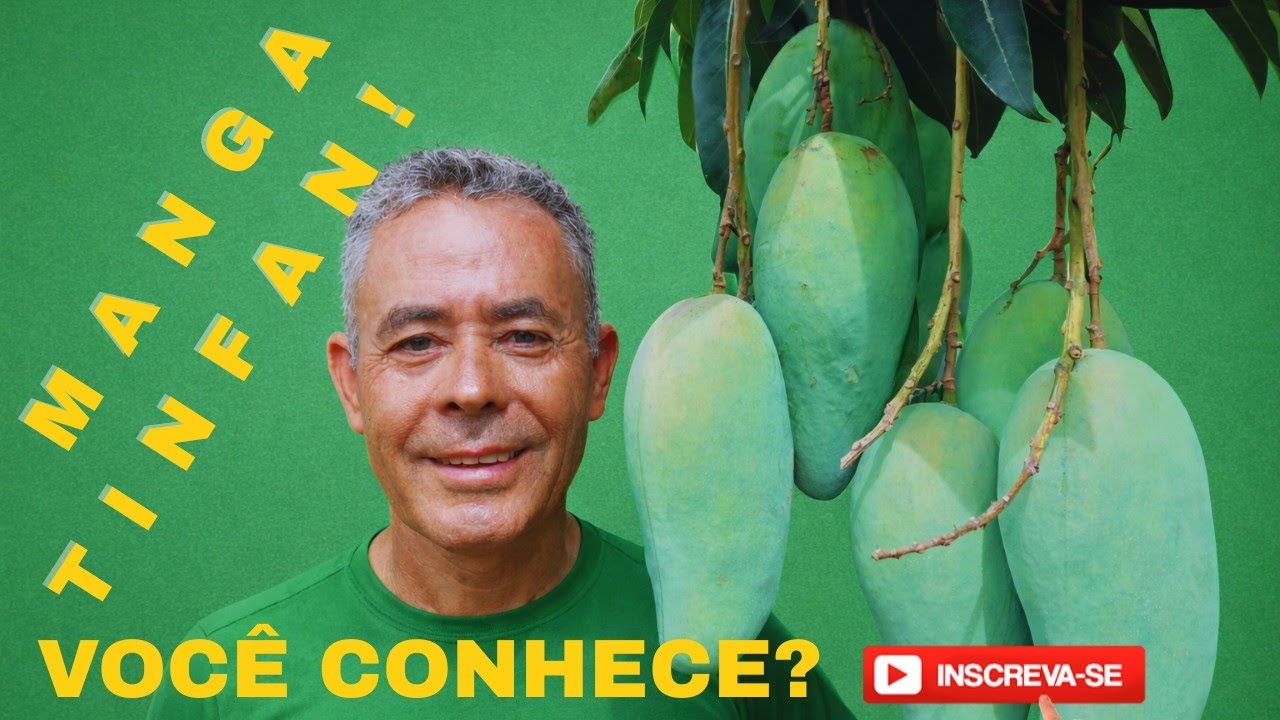 MAIS RESULTADO  E MOSTRANDO A MANGA TINFAN 