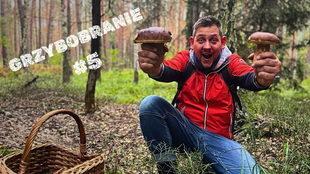 Grzybobranie z ekipą MARIUTTILLO – Odcinek 5 pełen humoru i grzybów!
