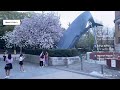 Test Live Stream Tour. Walking through Ueno Park