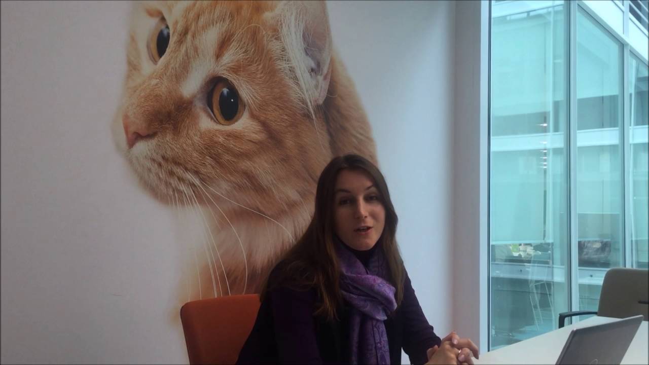 Дарья Масловская | Mars CIS | HR Summit 2016 - YouTube