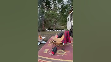 Thumbnail of Living in a Skoolie down by the river. SONG: “Bring Back My Smile” by: Isaac Turner #skoolie #bus