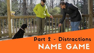 How to Teach Your Dog the Name Game - Turn Away From Distractions