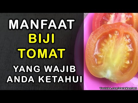 Video: Semua Yang Perlu Anda Ketahui Tentang Tomat Pusaka