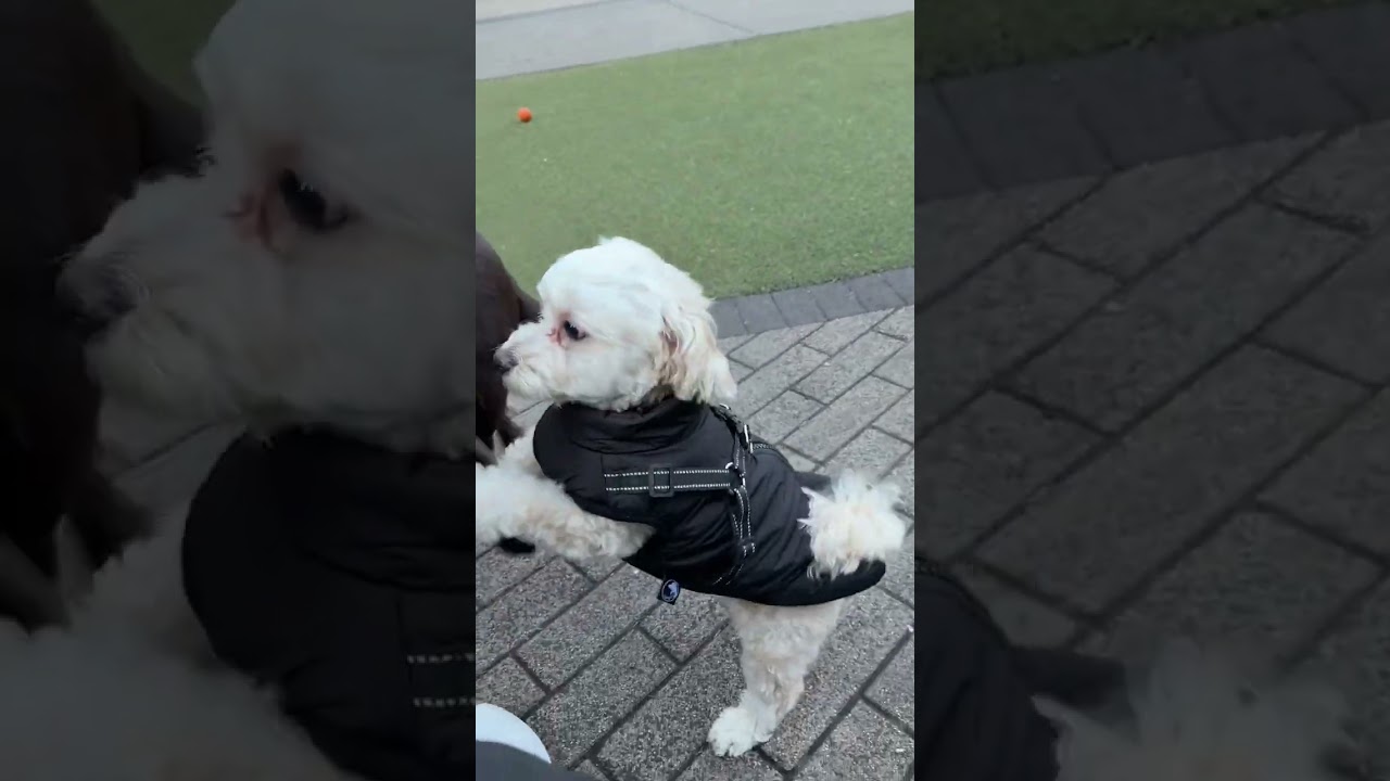 Clutter and disorganization bother me so much, but I’m sure you couldn’t tell that from my makeup or