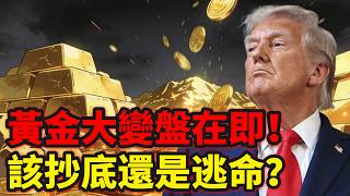 避險邏輯徹底失效？黃金大變盤在即？現在該抄底還是逃命？|黃金，白銀，金價，聯準會，美股，美元，川普，美國，外匯，黃金價格，黃金分析，黃金投資，貴金屬