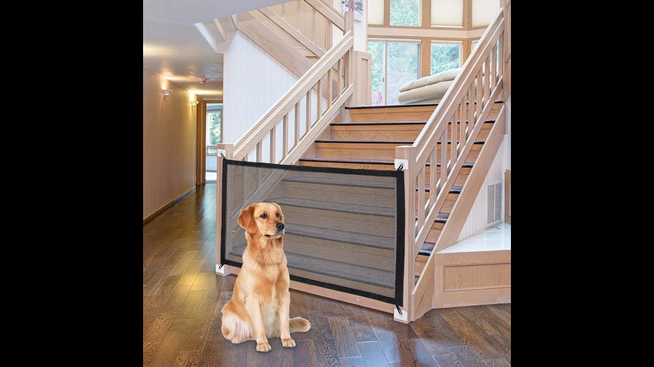 dog safety gates pets at home