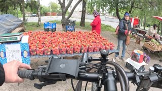 Чемні продавці 🤗Смачна ковбаса і дорога клубника 🍓 😱 😎 15.05.2024.