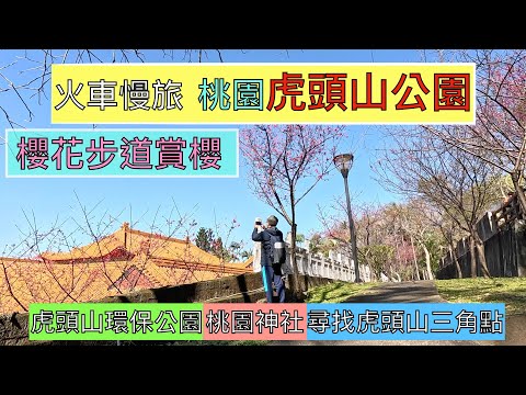 火車慢旅 桃園虎頭山公園 櫻花步道賞櫻 ep204『這次終於找到虎頭山三角點了,孔廟周邊有很大的櫻花林,走梅園步道,上三分山,五分山,停機坪,虎頭山環保公園,桃園神社假日市集,走透透的ㄧ天』