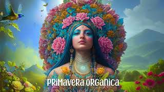 Atman Electronic, Ilija Frapp - More Krishna More Budhi (Original Mix)