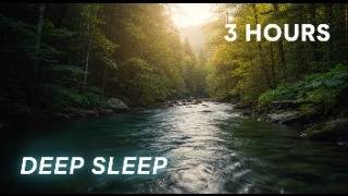 3 Jam Suara Aliran Sungai  Kicau Burung Hutan  Suara Alam Yang Lembut Untuk Tidur Nyenyak Belajar Bersantai