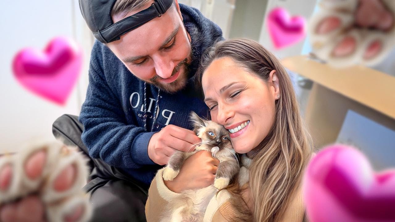 Bienvenue Macha 🥹🐱