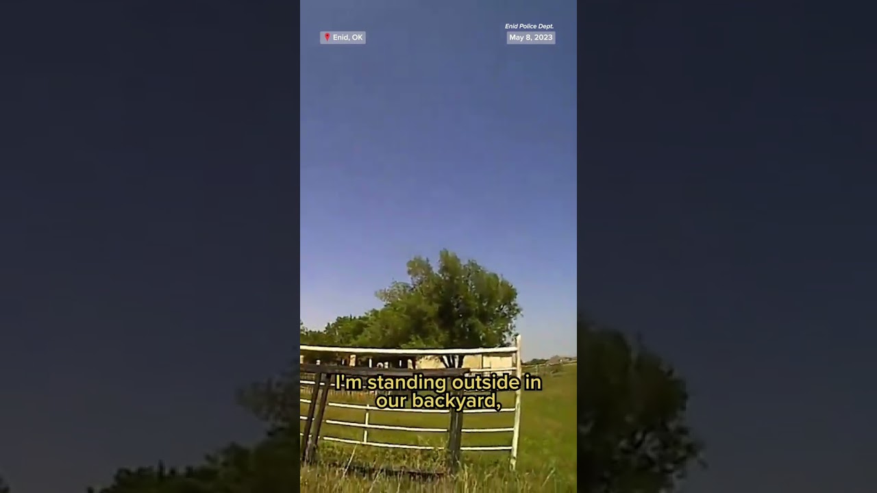 Watch a #goat fool the #police Watch a #goat fool the #police