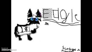 Contest Entry