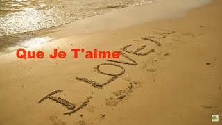 Video thumbnail of "Que Je t'aime  - Johnny Hallyday  (Paroles)"
