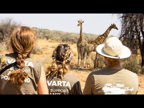 Volunteer at The Namibia Wildlife Sanctuary |  The Great Projects