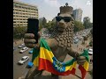 Lion Of Judah Ai Rasta Lionofjudah 