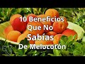10 Beneficios Increíbles del Melocotón 🍑✨