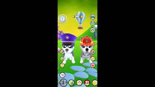 استمتع بساعات من المرح والضحك مع Talking Husky Dog. screenshot 4