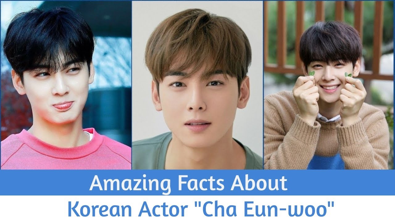 10 Things You Need To Know About Korean Actor Cha Eun Woo