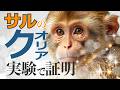 49.カエルに意識はあるの？　サルに意識はあるの？　2020/6/19 第49回の再配信　#ロボマインド・プロジェクト