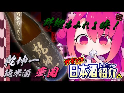 【乾坤一】如月ささらのガチンコ日本酒レビュー！【純米酒 愛国】