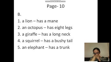 Ch-1 The magician and the duck- workbook exercises Part-1