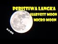 FENOMENA LANGKA, HARVEST MOON-MICRO MOON (BARU MUNCUL LAGI 2049)