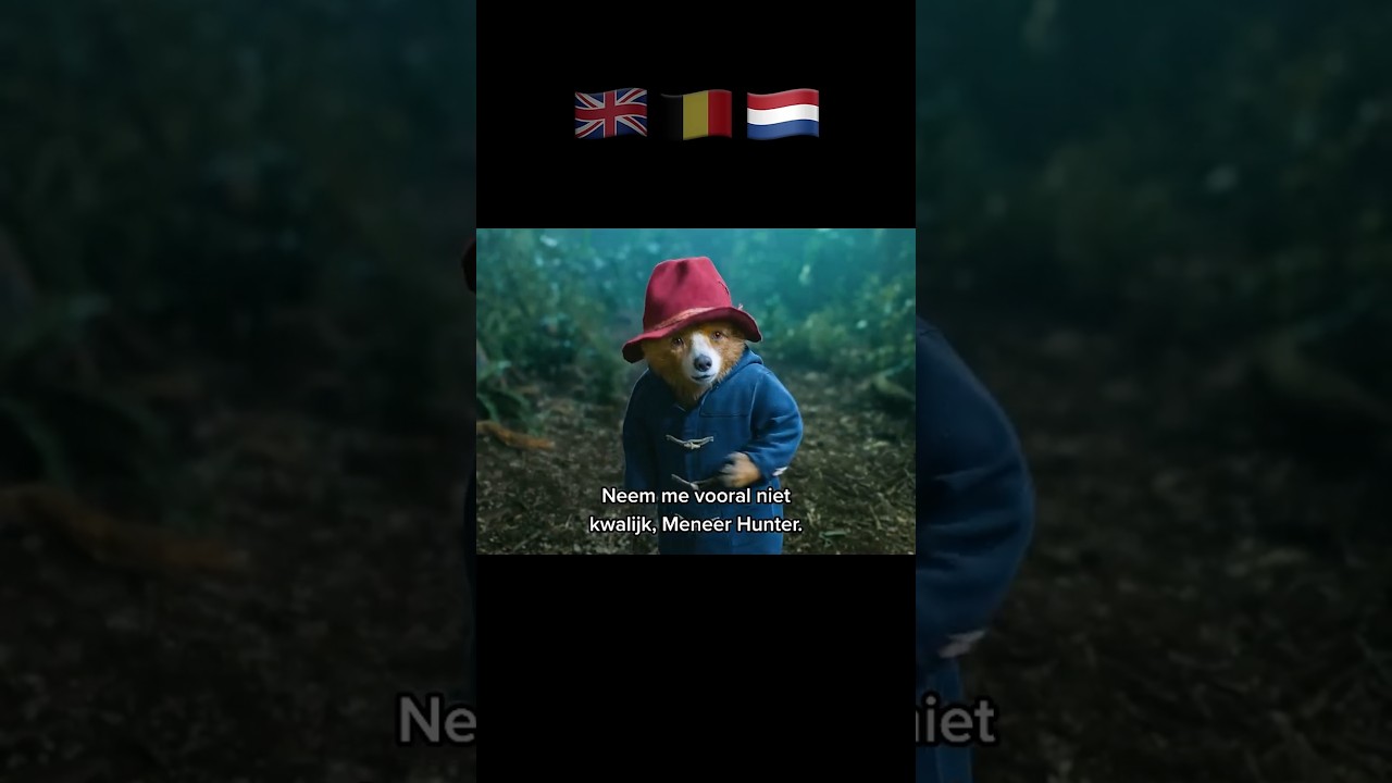 Paddington spreekt VLAAMS!? 🇧🇪 #PaddingtonInPeru