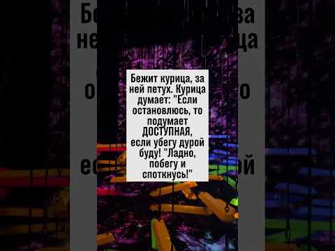 Курица и петух в погоне за балансом! Смех гарантирован! #анекдот #юмор