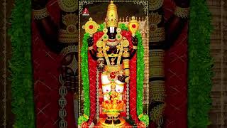 Venkateswara Swamy Songs | Tirumala Tirupati Venkanna Song | #YTShorts | Lord Balaji Bhakti Patalu