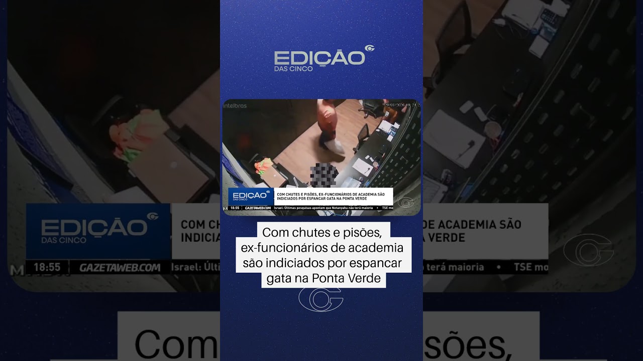 Vídeo mostra ex-funcionários espancando gata em Maceió