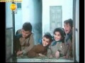    الأفعال