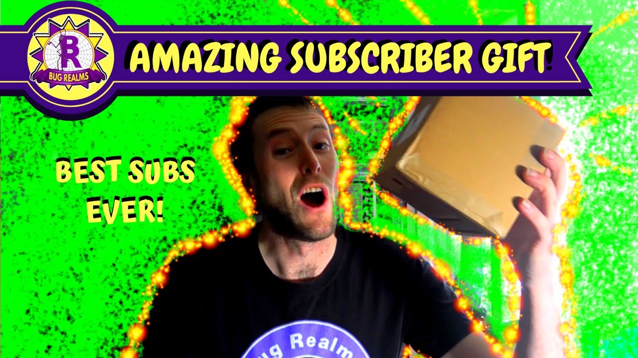 FREE TARANTULAS! - AMAZING SUBSCRIBER GIFT!!! THANKYOU! - YouTube